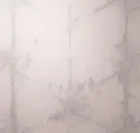 Quicksilver