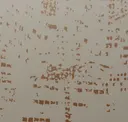 Los Angeles
