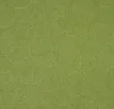Midori