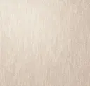 Angelica
