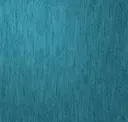 Nautilus