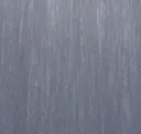 Gale