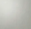 Winter Mist