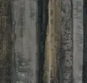 Todi