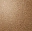 Penny