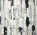 Blanc Et Noir