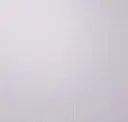 White Violet
