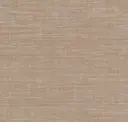 Cream Chiffon