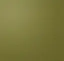 Fir
