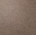 Sands Of Time