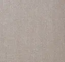 Taupe Tempo