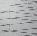 Silver Song