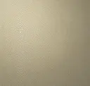 Shagreen