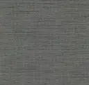 Sabre Gray