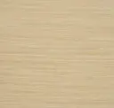 Sahara