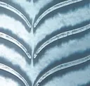 Fortuna