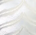 Riqueza