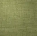 Palm Frond