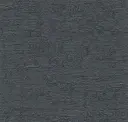Deep Teal Tempo