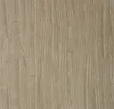 Mezzo