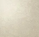 Bone