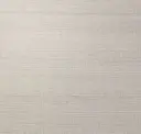 Bone