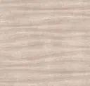 Biscuit