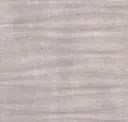 Silver Dollar