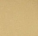 Dunes