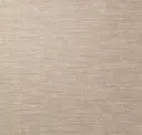Sesame