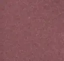 Vassa