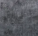 Carbon