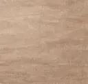 Fossil