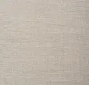 Pumice