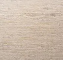 Warm Taupe