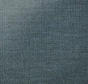 Blue Sleuth