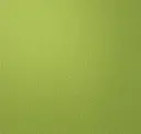 Lovebird