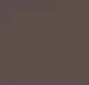 Charcoal Bronze