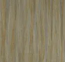 Forest Glade