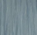 Blue Goose