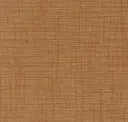 Sycamore