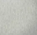 Lacuna