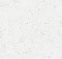 Polar White