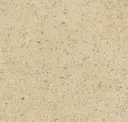 Rapunzel's Gold