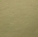 Palm