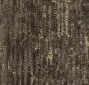 Saltara