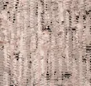 Tavullia
