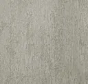 Aspen Nickel