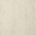 Carrera