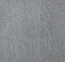 Silver Streak